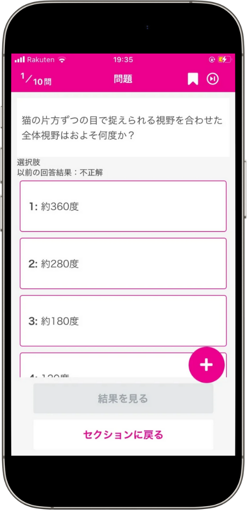 cat-kentei-beginner-app-test3
