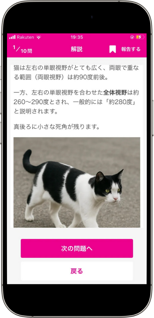 cat-kentei-beginner-app-test4