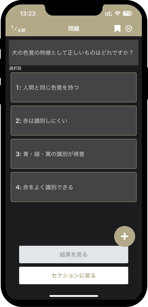 dog-test-basic01