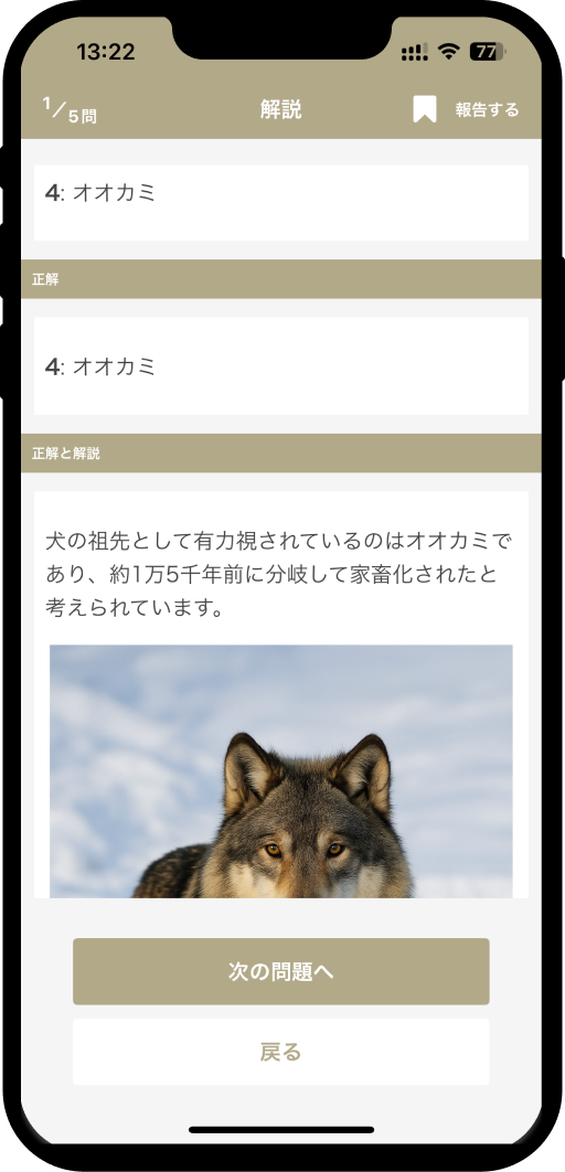 dog-test-basic04
