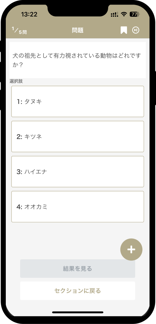 dog-test-basic05
